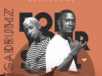 album-megadrumz-for-your-soul