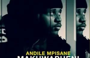 andile-mpisane-makhwapheni-mp3-download-zamusic