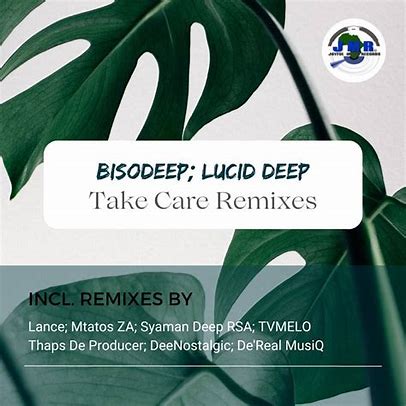 bisodeep-lucid-deep-take-care-dereal-musiq-deep-remix