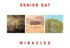 Senior Oat – The Only One ft Saltie