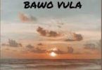 Sfarzo – Bawo Vula ft. Makhanj