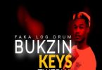 bukzin-keyz-twerka-4-0african-music-mp3-downlaod-zamusic