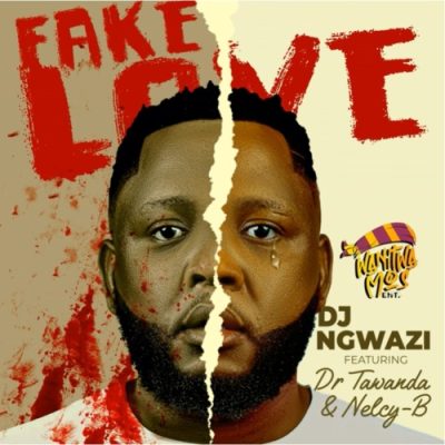 dj-ngwazi-fake-love-ft-dr-tawanda-nelcy-b-mp3-download-zamusic
