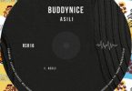 Buddynice – Asili