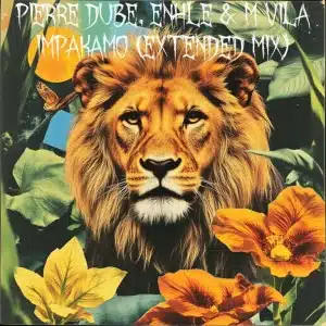 Pierre Dube – Impakamo ft Enhle & M Vila