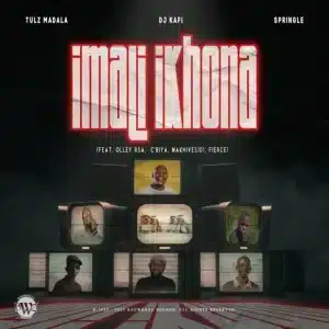 Tulz Madala – Imali Ikhona ft DJ Kafi, Springle, Olley RSA, C’biya, Makhives101 & Fierce