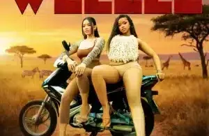 TxC – Welele ft Mavo, Shoday, Leemckrazy, RALD, W4de & Al Xapo