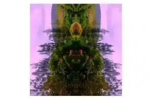 Yimi! – Unicorn Park