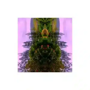 Yimi! – Unicorn Park