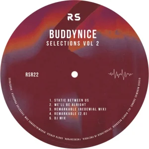 Buddynice – Selections Vol 2 DJ Mix