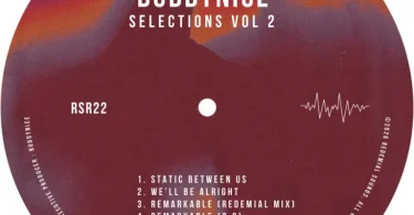 Buddynice – Selections Vol 2 DJ Mix