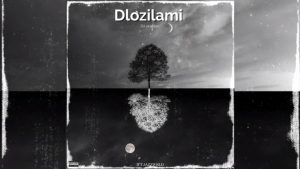 DJSkapter – DLozilami ft JAZZWRLD, Thukuthela, Zee Nxumalo, Babalwa M, Kelvin Momo & Major league djz