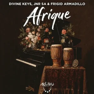 Divine Keys – Afrique ft Jnr SA & Frigid Armadillo