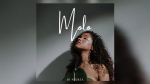 Dj Njebza – Molo ft Kelvin Momo, Dj Maphorisa, Kabza De Small, Thatohatsi & Tracy