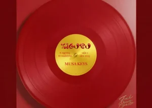 ALBUM: Musa Keys – Xigubu