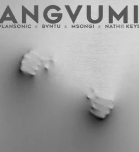Plansonic – Angvumi ft Bvntu, Msongi & Nathii Keys