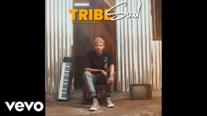 Tribesoul – Woza Cartel ft LowBass Djy & HouseXcape