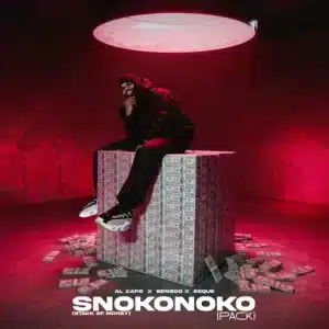 Al Xapo – SNOKONOKO (Original Mix) ft Benzoo & EeQue