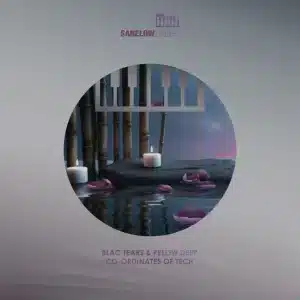 Blac Tears – Co-Ordinates of Tech (Undulative Tek Work) ft Pelow Deep