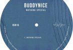 Buddynice – Nothing Special