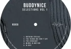 Buddynice – Selections Vol 1 (DJ Mix)