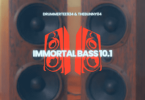 DrummeRTee924 – Immortal Bass 10.1 ft TheBunny04