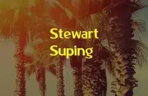 EdisonSoul – Stewart Suping