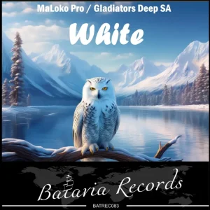 Gladiators Deep SA – Note 14 ft MaLoko Pro