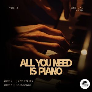 Musical Acid – All You Need Is Piano 014