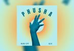 NVM CPT – Phusha 12.0 ft Tyler ICU & DBN Gogo