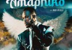 Siya Ntuli – Amaphiko ft Big Zulu