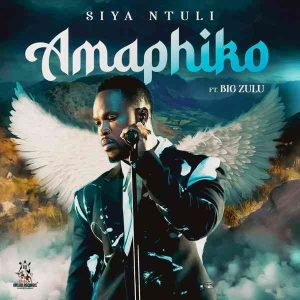 Siya Ntuli – Amaphiko ft Big Zulu