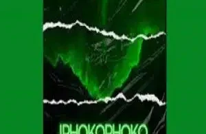 Sjavas99 – Iphokophoko ft Drummertee924 & Loony Q